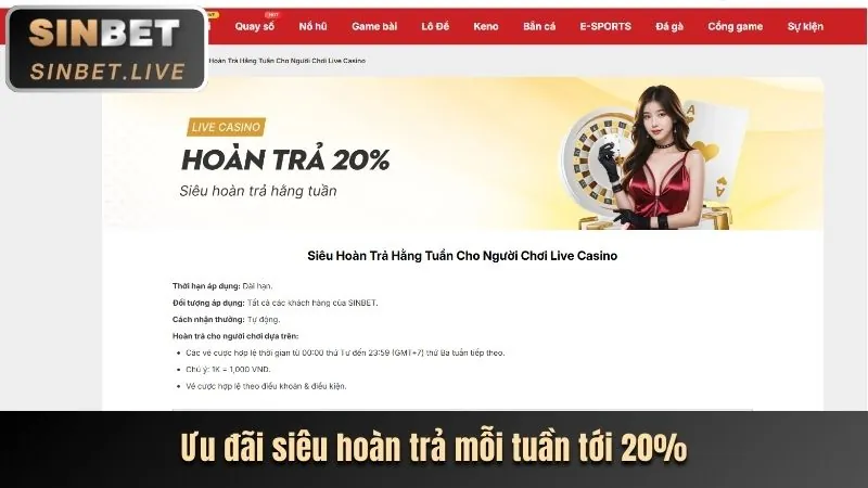 Lợi ích độc quyền cho thành viên VIP mm853